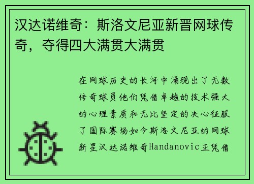 汉达诺维奇：斯洛文尼亚新晋网球传奇，夺得四大满贯大满贯